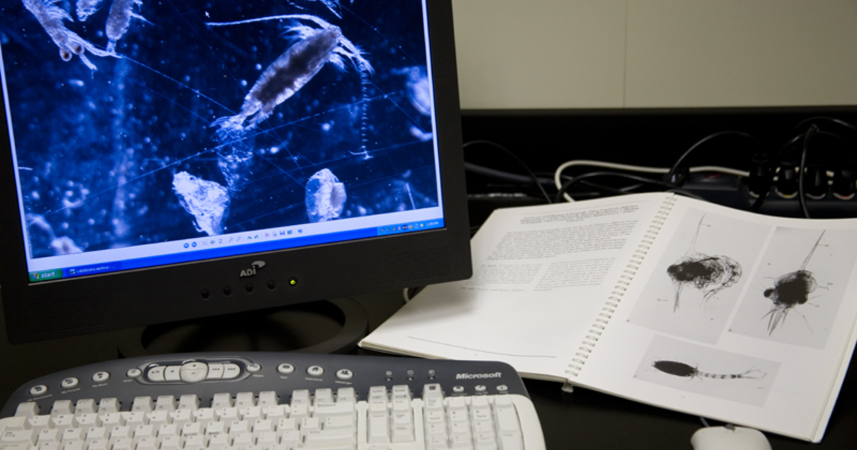 Resources | University of Maryland Center for Environmental Science